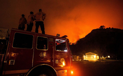 Strażacy walczą z ogniem w okolicach miasteczka Monrovia w Kalifornii