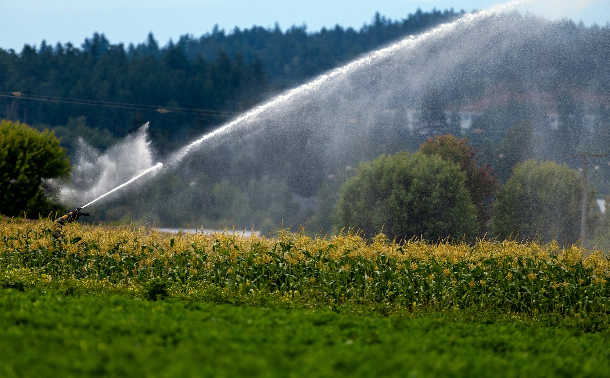 Zużycie wody na świecie gwałtownie rośnie. Skok o 25 procent w ciągu dwóch dekad