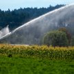 Eksperci Banku Światowego podkreślają, że wzrost zużycia wody wynika przede wszystkim z rozwoju roln