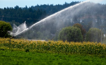 Eksperci Banku Światowego podkreślają, że wzrost zużycia wody wynika przede wszystkim z rozwoju roln