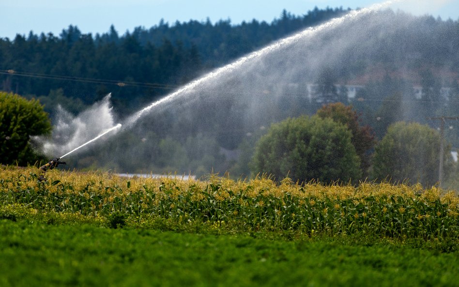 Eksperci Banku Światowego podkreślają, że wzrost zużycia wody wynika przede wszystkim z rozwoju roln