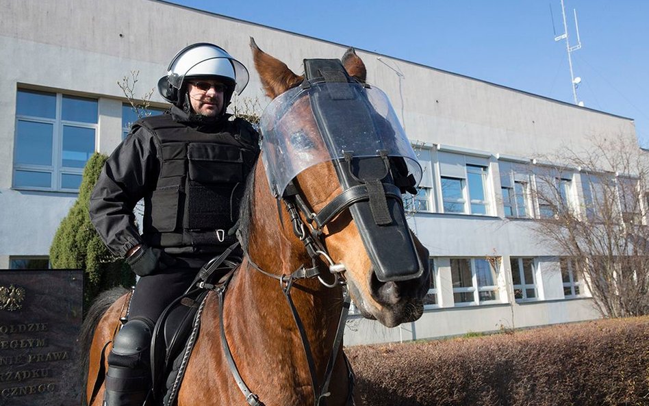 Atestacja policyjnych koni służbowych