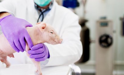 Rosyjscy naukowcy pracują m.in. nad spowolnieniem starzenia się komórek za pomocą terapii genowej, a