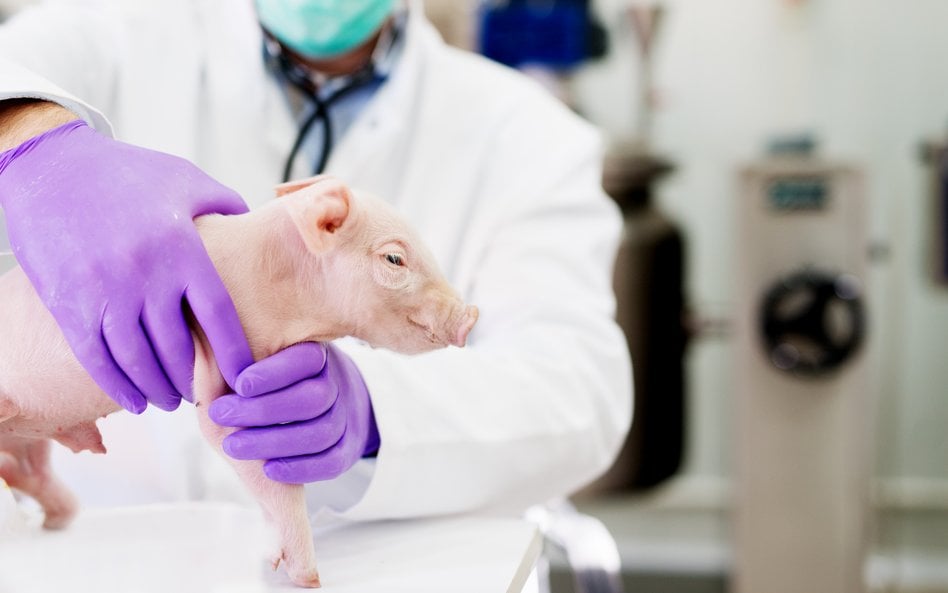 Rosyjscy naukowcy pracują m.in. nad spowolnieniem starzenia się komórek za pomocą terapii genowej, a