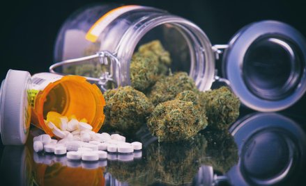Medyczna marihuana zalegalizowana na Litwie