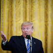 Donald Trump: Mamy milion przypadków, bo testujemy najlepiej na świecie