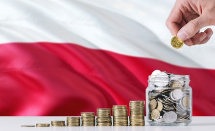Tomasz Pietryga: Wyprowadzanie kozy, czyli tak się nie robi reform