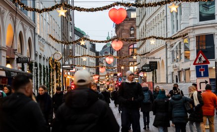 Duński model znajduje naśladowców w całej Europie