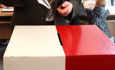 CBOS: „Efekt Euro” i Palikot poza Sejmem