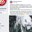 Zbiórka na Ducha z "Gry o tron". "Sypnij złotem jak Lannisterowie"