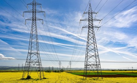 Wyższy CIT miałyby zapłacić m.in. duże firmy zajmujące się dystrybucją energii elektrycznej oraz jej