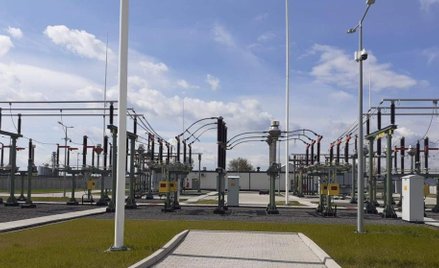 Elektrotim: Podobny III kwartał