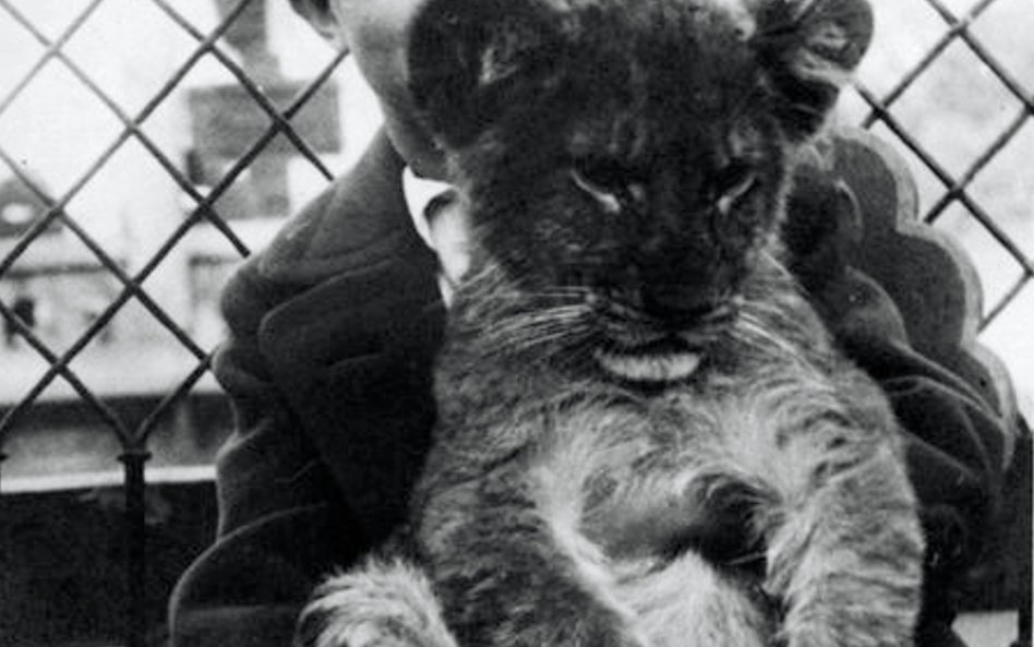 W zoo w Warszawie, lata 30.