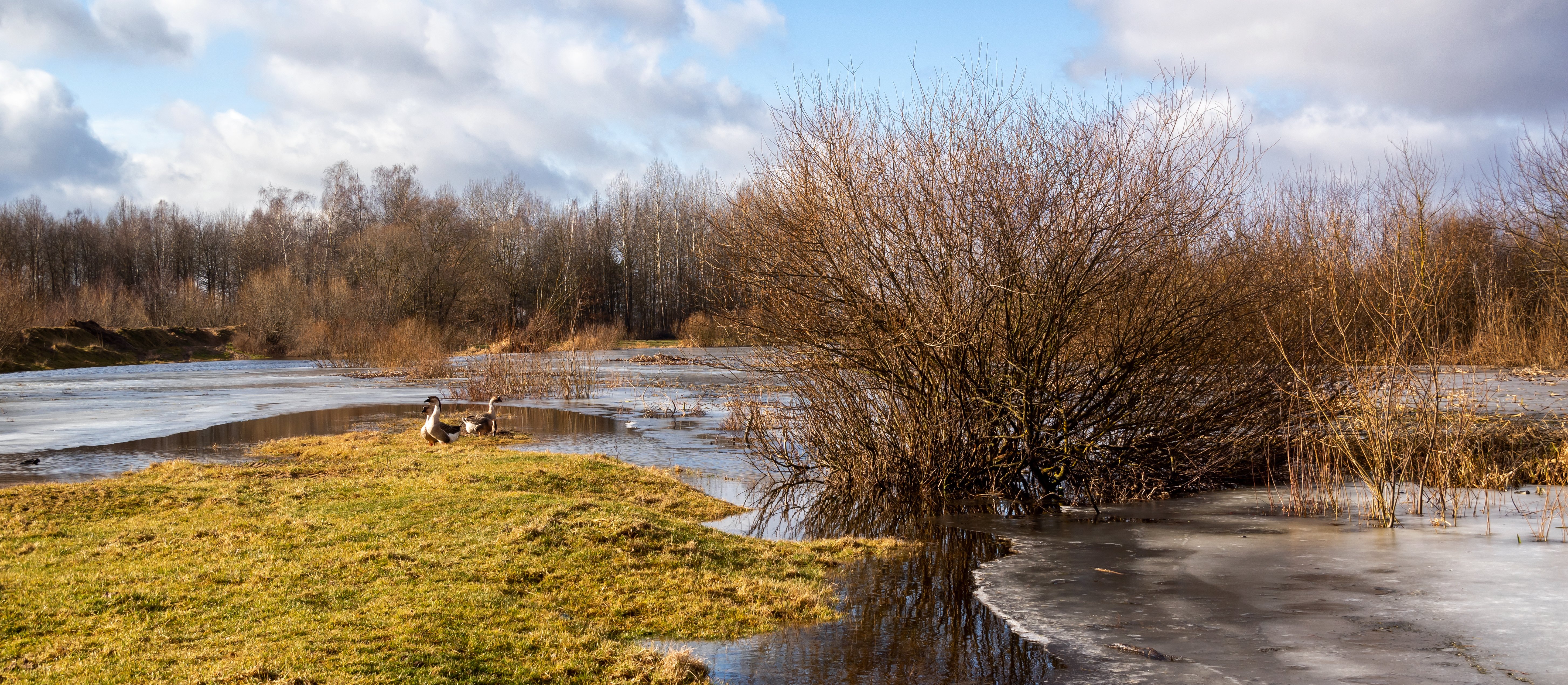 Wiosenne temperatury zawitają do Polski. Kiedy zrobi się cieplej?