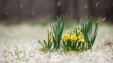 Pogoda na Wielkanoc w najnowszych prognozach IMGW nie wygląda optymistycznie