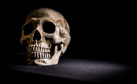 Inkowie operowali skuteczniej niż Amerykanie w XIX w.