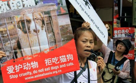 Obrońcom praw zwierząt nie udało się zablokować tegorocznego festiwalu psiego mięsa w Yulin