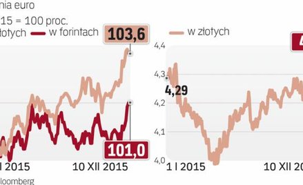 Polskiej walucie szkodzi m.in. polityka