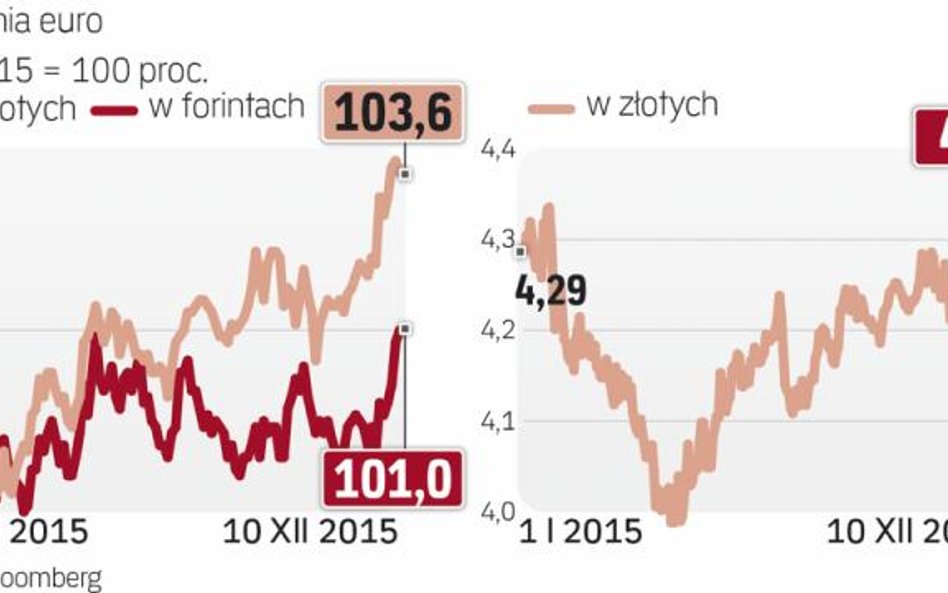 Polskiej walucie szkodzi m.in. polityka