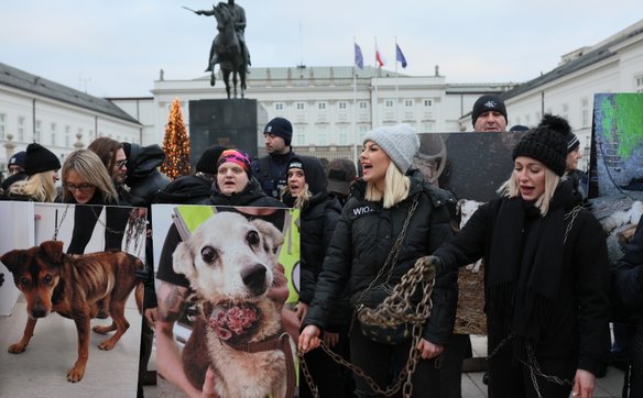 W środę, 17 grudnia pod Sejmem ponownie zbierze się manifestacja prozwierzęca