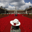 Chelsea Flower Show
