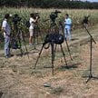 Przedstawiciele mediów pracują na terenie pola kukurydzy w miejscowości Osiny, na które spadł rosyjs