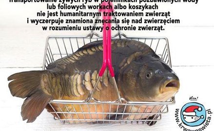 Logo akcji w sprawie bojkotu sprzedaży żywych karpi na święta
