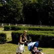 Biznes na wychowawczym jest obciążony składkami