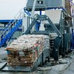 W 2025 r. wolumen wytworzonych w Polsce odpadów komunalnych wzrósł o 0,8 proc. do prawie 14,3 mln to