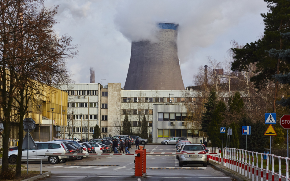 Energetyka znalazła się w węglowej niszy