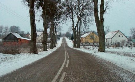 Perły (przed wojną Perlswalde) leżą w województwie warmińsko–mazurskim, w powiecie węgorzewskim, tuż