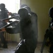 Brutalna pomyłka antyterrorystów