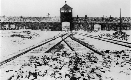 Szułdrzyński: Samospełniająca się przepowiednia