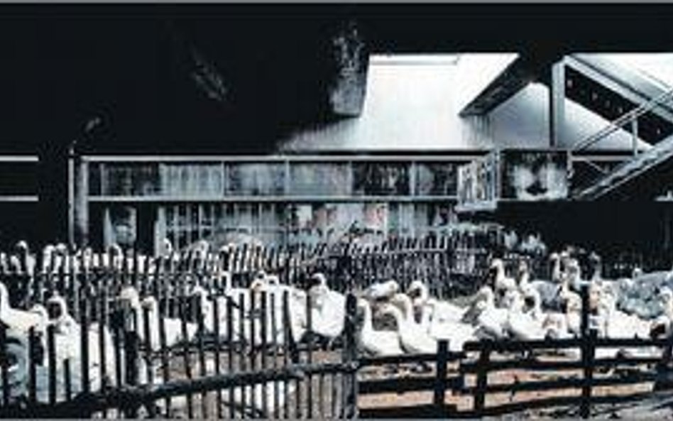 Terminal 2 – Port Lotniczy im. Fryderyka Chopina. Za kilkadziesiąt lat artyści widzą w tym miejscu f