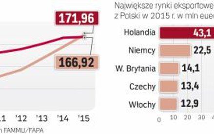 Najwięcej jasnego Pełnego Kupują od nas kraje Unii Europejskiej