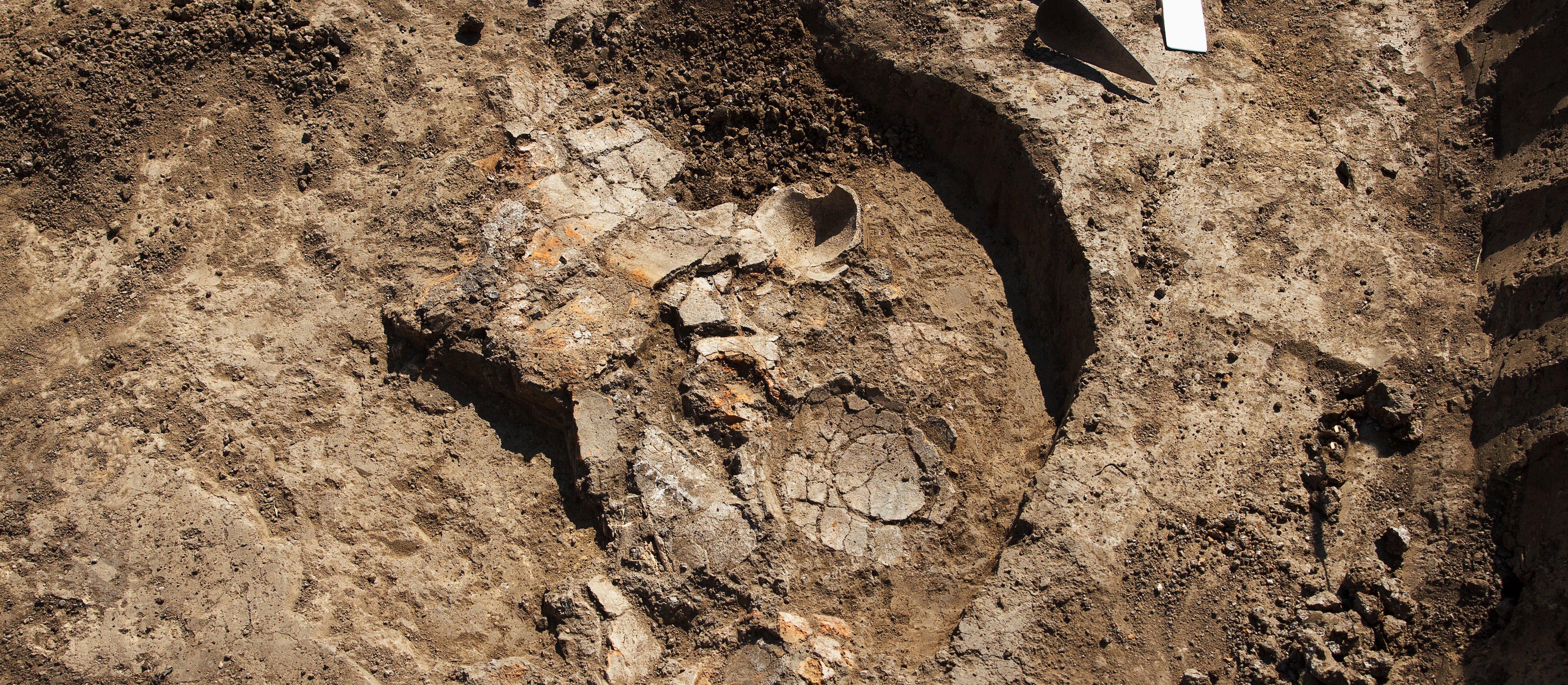 Najstarsze mumie na świecie mają 10 tysięcy lat. Nietypowa technika mumifikacji