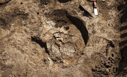 Zdjęcie ilustracyjne