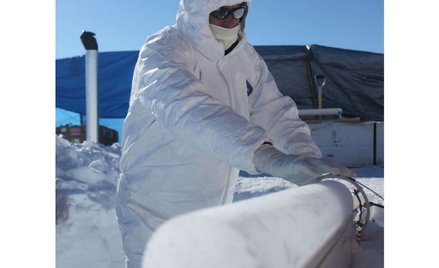 Wulkany powodem rewolucji w starożytnym Egipcie