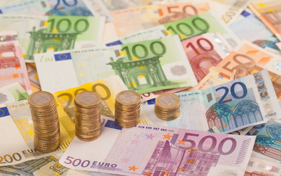 Leon Podkaminer: Euro to lek na całe zło?