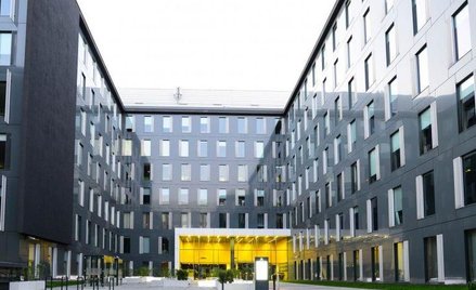 GTC wraca do dywidend