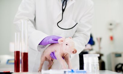 Rosyjscy naukowcy pracują m.in. nad spowolnieniem starzenia się komórek za pomocą terapii genowej, a
