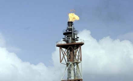 Shell zapłaci miliony za łamanie praw człowieka w Nigerii