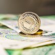 Złoty bardziej wrażliwy na EBC, niż Adama Glapińskiego