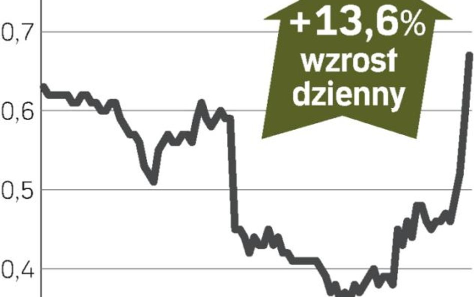 Nadzieje na dokapitalizowanie