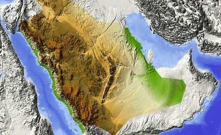 Saudyjska aktywistka: Arabia Saudyjska wciąż traktuje kobiety jak niewolnice