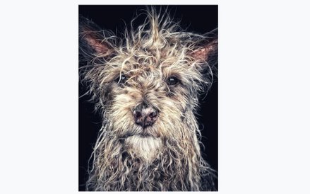 1. miejsce: Robin Robertis