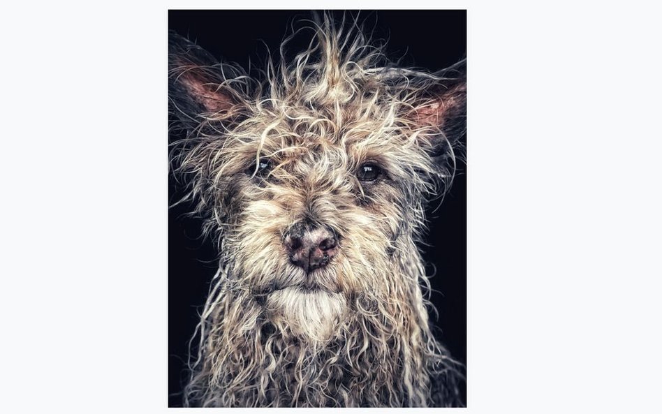 1. miejsce: Robin Robertis