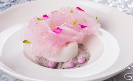 Z małpką przez Kraków