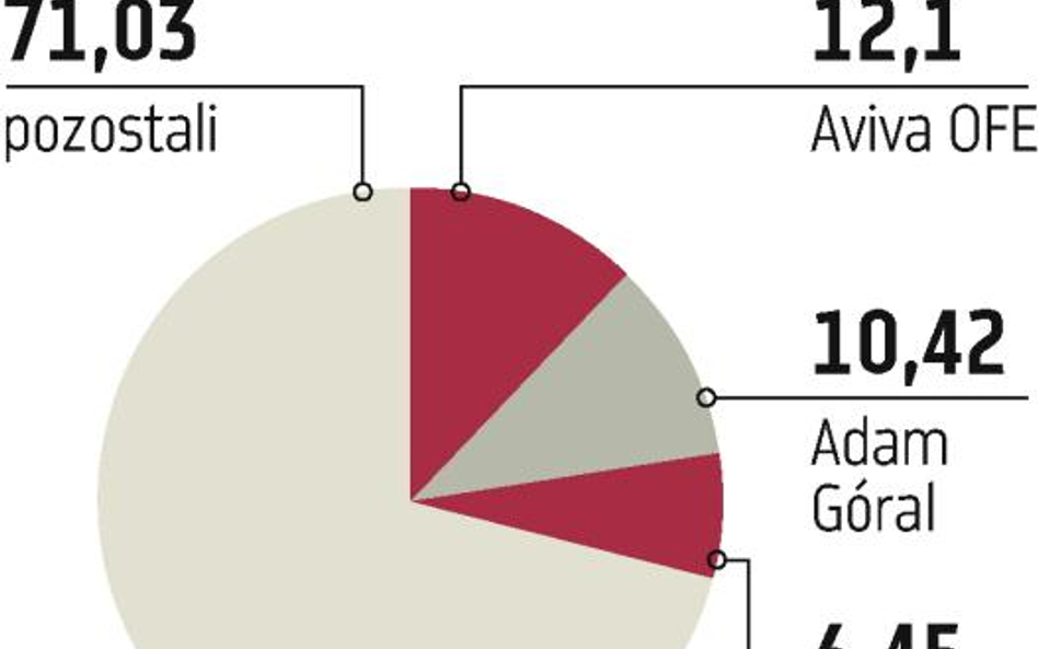 Asseco Poland – niestrudzony łowca