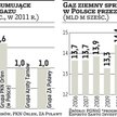 PGNiG. Przemysł mało zyska na obniżce cen gazu